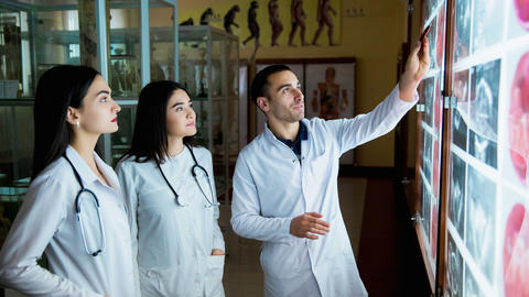 Medical schools students look at a wall of x-rays