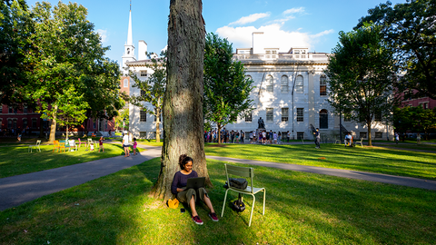 A student studying under a tree in Old Yard with the John Harvard statue and University Hall behind them.