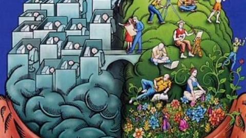 A brain showing analytical thinking on the left side and creativity on the right.