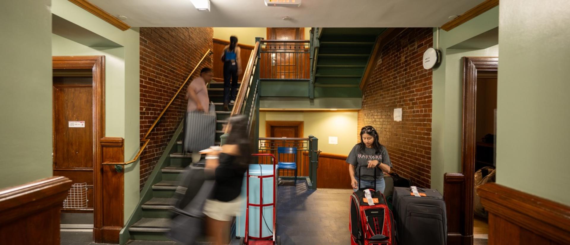 Students during first-year move-in lugging luggage and amenities into their first-year dorms in the Yard.